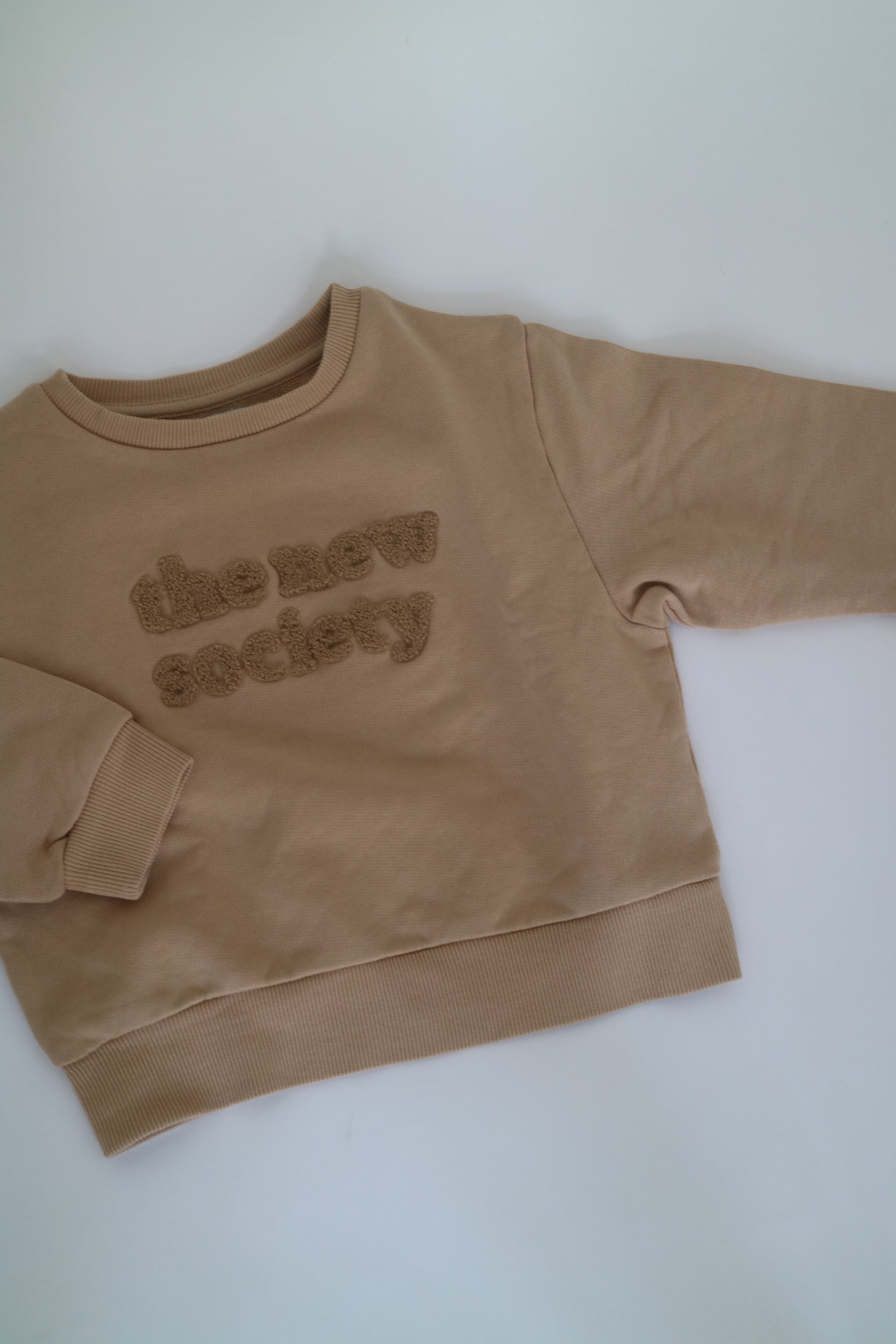 Beige sweatshirt i beige från The New Society, färg Camel. Logo med The New Society i teddy material.&nbsp;