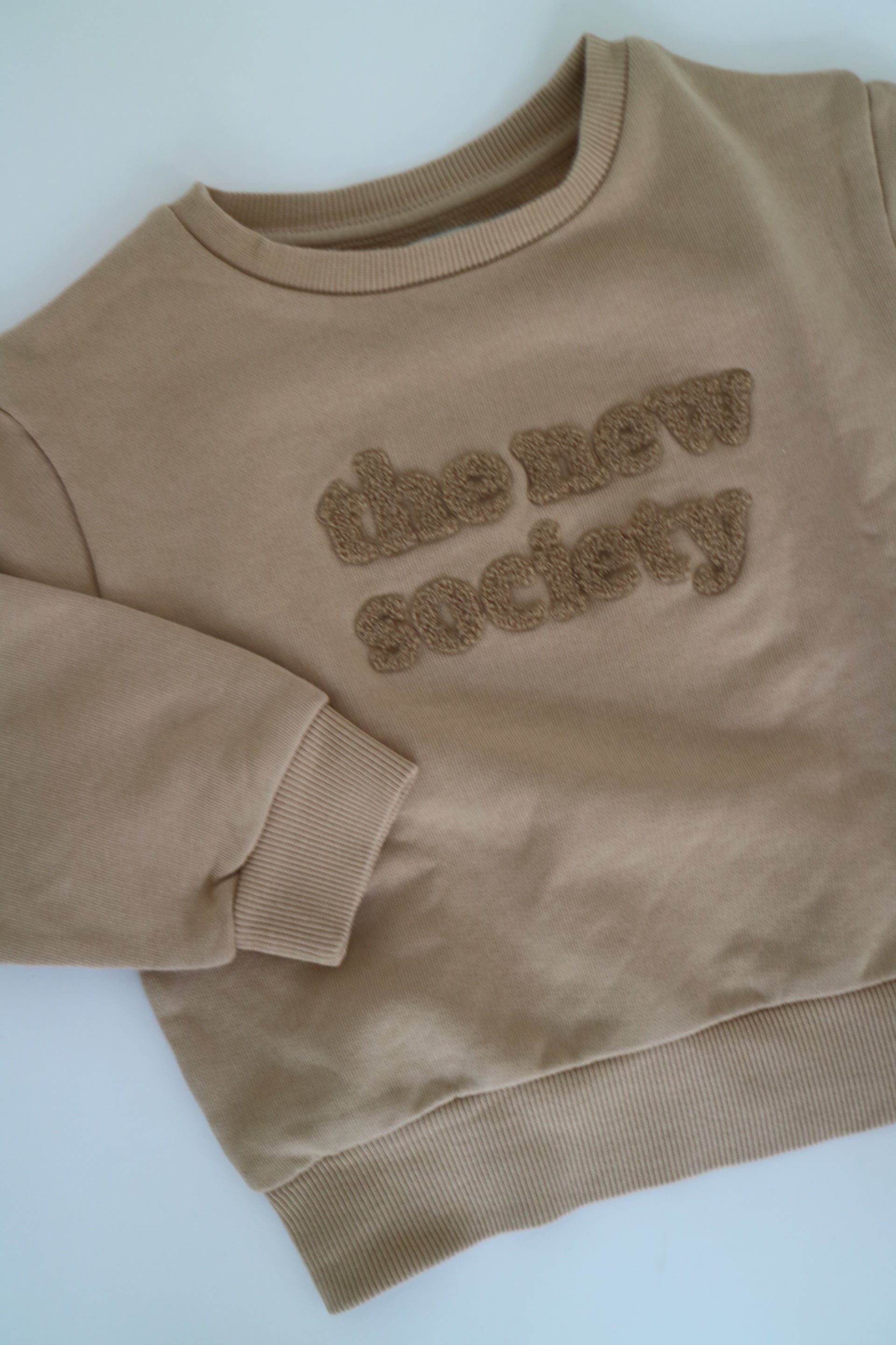 Beige sweatshirt i beige från The New Society, färg Camel. Logo med The New Society i teddy material.&nbsp;